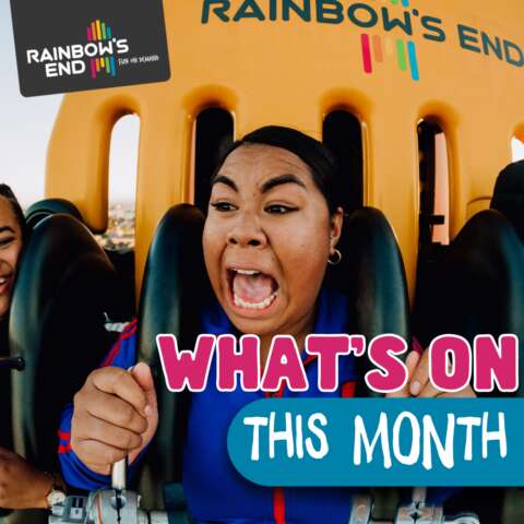 Find out What's on, don't miss out!