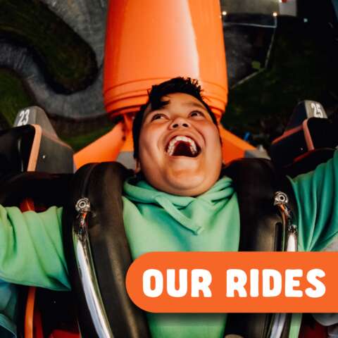 Our Rides