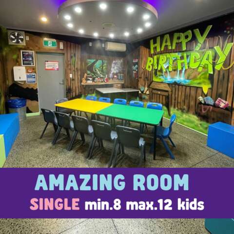 Amazing Birthday Room Kidz Kingdom